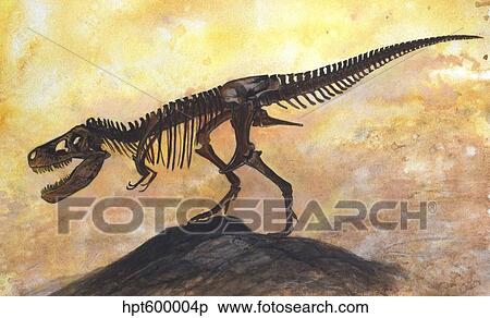 Tyrannosaurus rex dinosaur skeleton. View Large Illustration Stock Illustration - Tyrannosaurus rex dinosaur skeleton.. Fotosearch