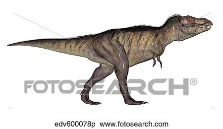 Tyrannosaurus Rex, white background. View Large Illustration Stock Illustration - Tyrannosaurus Rex, white background.. Fotosearch