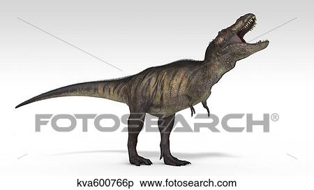 Tyrannosaurus Rex, white background. View Large Illustration Stock Illustration - Tyrannosaurus Rex, white background.. Fotosearch