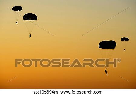 U. S. Army Rangers parachute over Florida. View Large Photo Image Picture - U. S. Army Rangers parachute over Florida.. Fotosearch