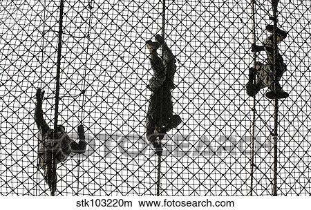 Picture - U. S. Army recruits completing an obstacle at Victory Tower during basic combat training.. Fotosearch