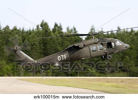 U. S. Army UH-60L Blackhawk helicopter landing at Florida Airport. View Large Photo Image Picture - U. S. Army UH-60L Blackhawk helicopter landing at Florida Airport.. Fotosearch