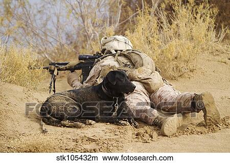 Picture - U. S. Marine and a military working dog provide security in Afghanistan.. Fotosearch
