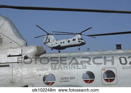 U. S. Marine Corps CH-46 Sea Knight helicopters. View Large Photo Image Picture - U. S. Marine Corps CH-46 Sea Knight helicopters.. Fotosearch