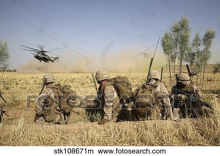 Picture - U. S. Marines watch as CH-53E Super Stallion helicopters land in a field.. Fotosearch