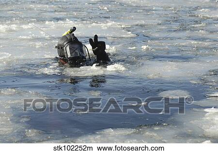 U. S. Navy Diver signals he is okay during a training mission in the icy Thames River. View Large Photo Image Picture - U. S. Navy Diver signals he is okay during a training mission in the icy Thames River.. Fotosearch