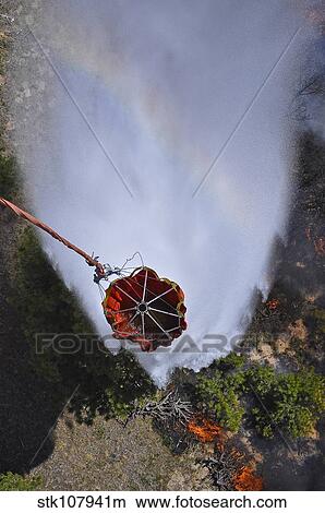 Picture - UH-60 Black Hawk helicopters perform water drops using Bambi Buckets.. Fotosearch