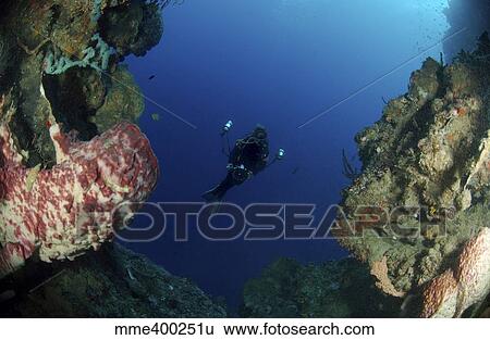 Stock Photograph - Underwater photographer at the entrance of a cave, North Sulawesi.. Fotosearch
