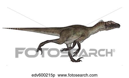 Stock Illustration - Utahraptor dinosaur running.. Fotosearch