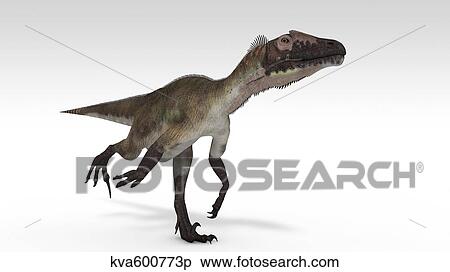 Utahraptor dinosaur, white background. View Large Illustration Stock Illustration - Utahraptor dinosaur, white background.. Fotosearch