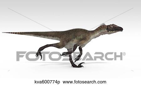 Utahraptor dinosaur, white background. View Large Illustration Stock Illustration - Utahraptor dinosaur, white background.. Fotosearch