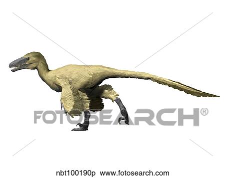 Utahraptor is a theropod from the Early Cretaceous period. View Large Illustration Stock Illustration - Utahraptor is a theropod from the Early Cretaceous period.. Fotosearch