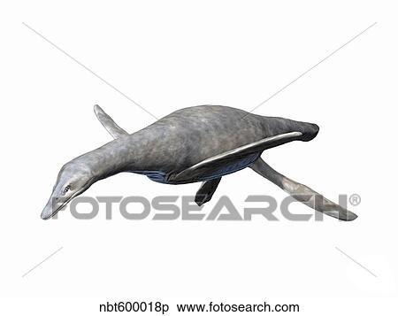 Vectocleidus pastorum, Early Cretaceous of England. View Large Illustration Stock Illustration - Vectocleidus pastorum, Early Cretaceous of England.. Fotosearch