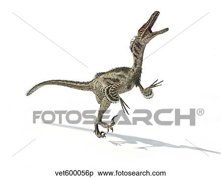 Velociraptor dinosaur on white background. View Large Illustration Stock Illustration - Velociraptor dinosaur on white background.. Fotosearch