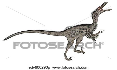 Stock Illustration - Velociraptor dinosaur roaring, white background.. Fotosearch