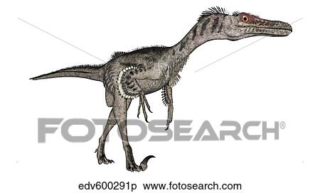 Stock Illustration - Velociraptor dinosaur, white background.. Fotosearch