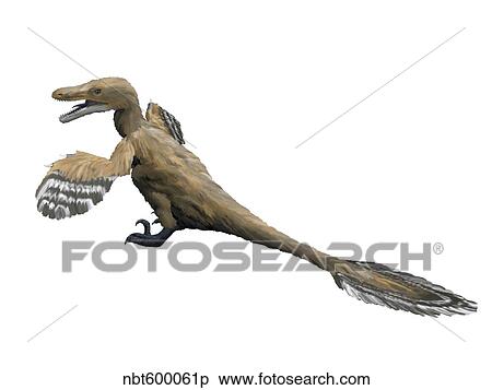 Velociraptor mongoliensis, Late Cretaceous of Mongolia. View Large Illustration Stock Illustration - Velociraptor mongoliensis, Late Cretaceous of Mongolia.. Fotosearch