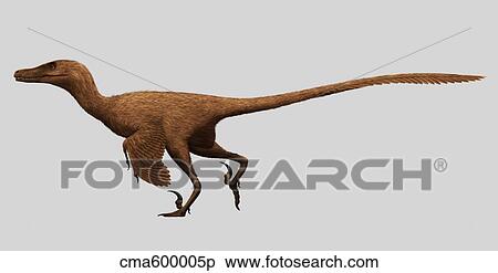 Stock Illustration - Velociraptor mongoliensis was a mid-sized dinosaur from the Cretaceous Period.. Fotosearch