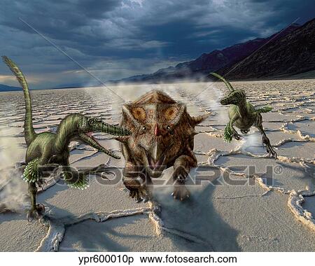 Stock Illustration - Velociraptors chase a Bagaceratops in a prehistoric desert.. Fotosearch