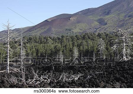 Volcanic landscape of Mount Etna. View Large Photo Image Stock Photograph - Volcanic landscape of Mount Etna.. Fotosearch