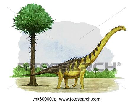 Stock Illustration - Watercolor painting of Euhelopus zdanskyi.. Fotosearch