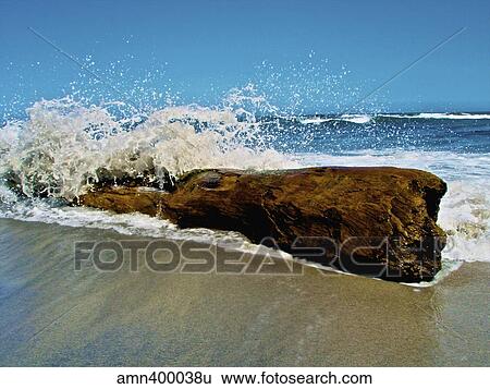 Waves splashing over driftwood on beach. View Large Photo Image Stock Photograph - Waves splashing over driftwood on beach.. Fotosearch