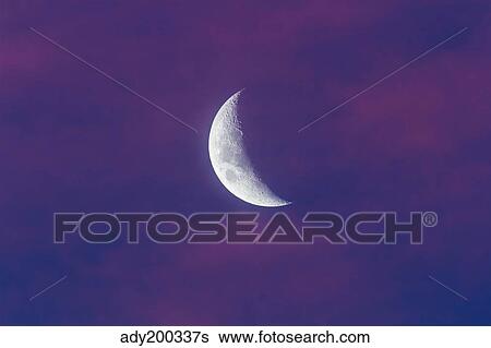 Waxing moon in pink clouds. View Large Photo Image Stock Photograph - Waxing moon in pink clouds.. Fotosearch