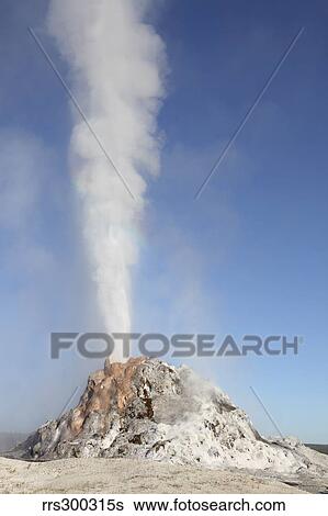 White Dome Geyser erupting, Upper Geyser Basin geothermal area, Yellowstone National Park. View Large Photo Image Stock Photograph - White Dome Geyser erupting, Upper Geyser Basin geothermal area, Yellowstone National Park.. Fotosearch