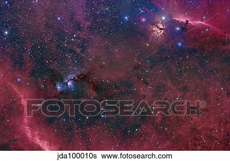 Widefield view in the Orion constellation. View Large Photo Image Stock Photograph - Widefield view in the Orion constellation.. Fotosearch