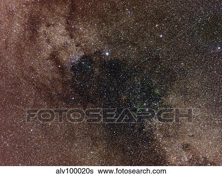 Widefield view of star flux in Cygnus. View Large Photo Image Stock Photograph - Widefield view of star flux in Cygnus.. Fotosearch