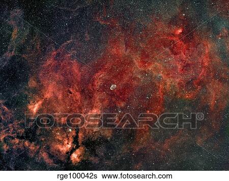 Widefield view of the Crescent Nebula. View Large Photo Image Stock Photograph - Widefield view of the Crescent Nebula.. Fotosearch