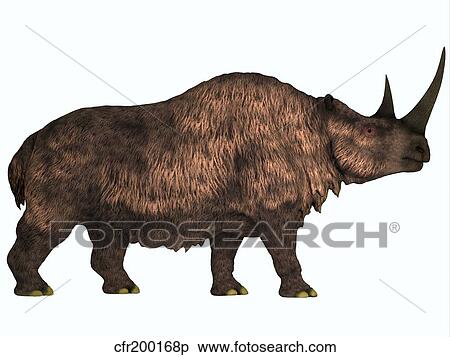Woolly Rhinoceros, an extinct mammal from the Pleistocene Period. View Large Illustration Stock Illustration - Woolly Rhinoceros, an extinct mammal from the Pleistocene Period.. Fotosearch