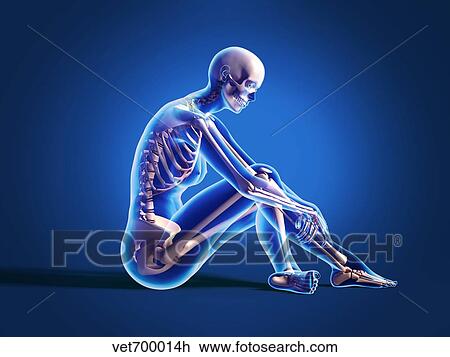Drawing - X-ray view of a woman sitting on floor with skeletal bones superimposed.. Fotosearch