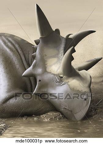 Xenoceratops foremostensis relaxing in a mud puddle. View Large Illustration Stock Illustration - Xenoceratops foremostensis relaxing in a mud puddle.. Fotosearch