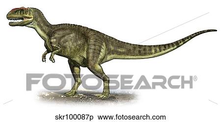 Yangchuanosaurus shangiouensis, a prehistoric era dinosaur. View Large Illustration Stock Illustration - Yangchuanosaurus shangiouensis, a prehistoric era dinosaur.. Fotosearch