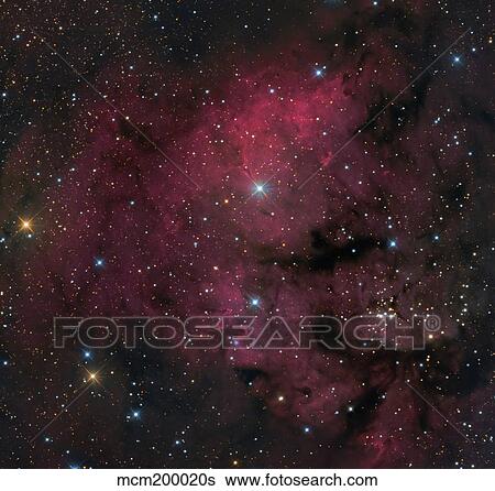 Young star-forming complex NGC 7822. View Large Photo Image Stock Photograph - Young star-forming complex NGC 7822.. Fotosearch