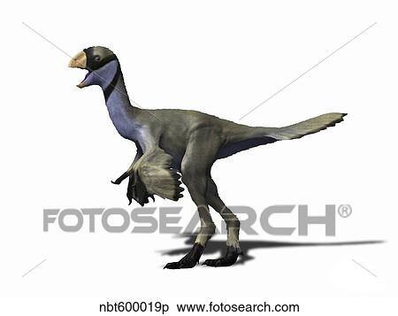 Yulong mini, Late Cretaceous of China. View Large Illustration Stock Illustration - Yulong mini, Late Cretaceous of China.. Fotosearch
