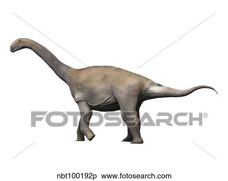 Zby atlanticus is a sauropod dinosaur from the Late Jurassic period. View Large Illustration Stock Illustration - Zby atlanticus is a sauropod dinosaur from the Late Jurassic period.. Fotosearch