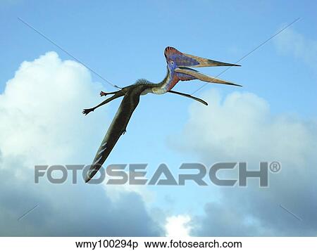 Zhejiangopterus, a genus of azhdarchid pterosaur. View Large Illustration Stock Illustration - Zhejiangopterus, a genus of azhdarchid pterosaur.. Fotosearch
