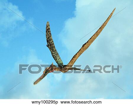 Zhenyuanopterus, a genus of pterosaur from the Cretaceous Period. View Large Illustration Stock Illustration - Zhenyuanopterus, a genus of pterosaur from the Cretaceous Period.. Fotosearch