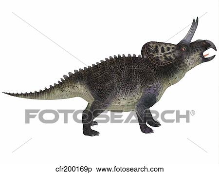 Zuniceratops, a ceratopsian herbivore from the Cretaceous Period. View Large Illustration Stock Illustration - Zuniceratops, a ceratopsian herbivore from the Cretaceous Period.. Fotosearch