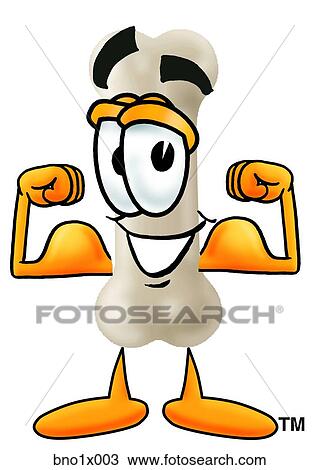 bone flexing muscles View Large Clip Art Graphic Clipart - bone flexing muscles. Fotosearch