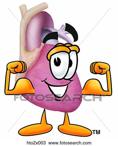 heart2 flexing muscles View Large Clip Art Graphic Clipart - heart2 flexing muscles. Fotosearch