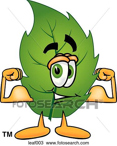 Leaf flexing muscles View Large Clip Art Graphic Clipart - Leaf flexing muscles. Fotosearch