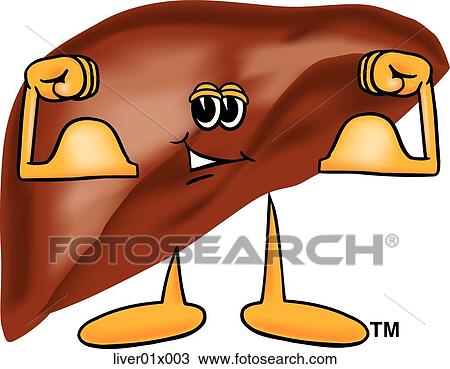 Liver Flexing Muscles View Large Illustration Drawing - Liver Flexing Muscles. Fotosearch