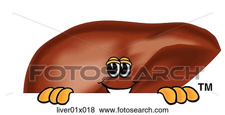 Stock Illustration - Liver Peeking Over. Fotosearch