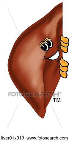 Stock Illustration - Liver Peeking Sideways. Fotosearch