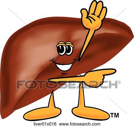 Stock Illustration - Liver Pointing To Side. Fotosearch