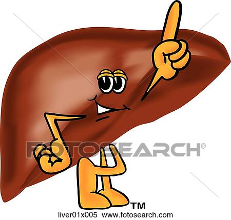 Stock Illustration - Liver Pointing Up. Fotosearch