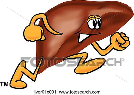 Liver Running View Large Illustration Clip Art - Liver Running. Fotosearch
